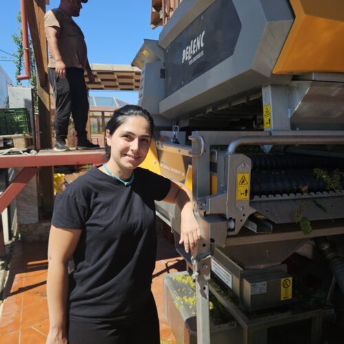 Η Άννα Σακαλάκη στο οινοποιείο.